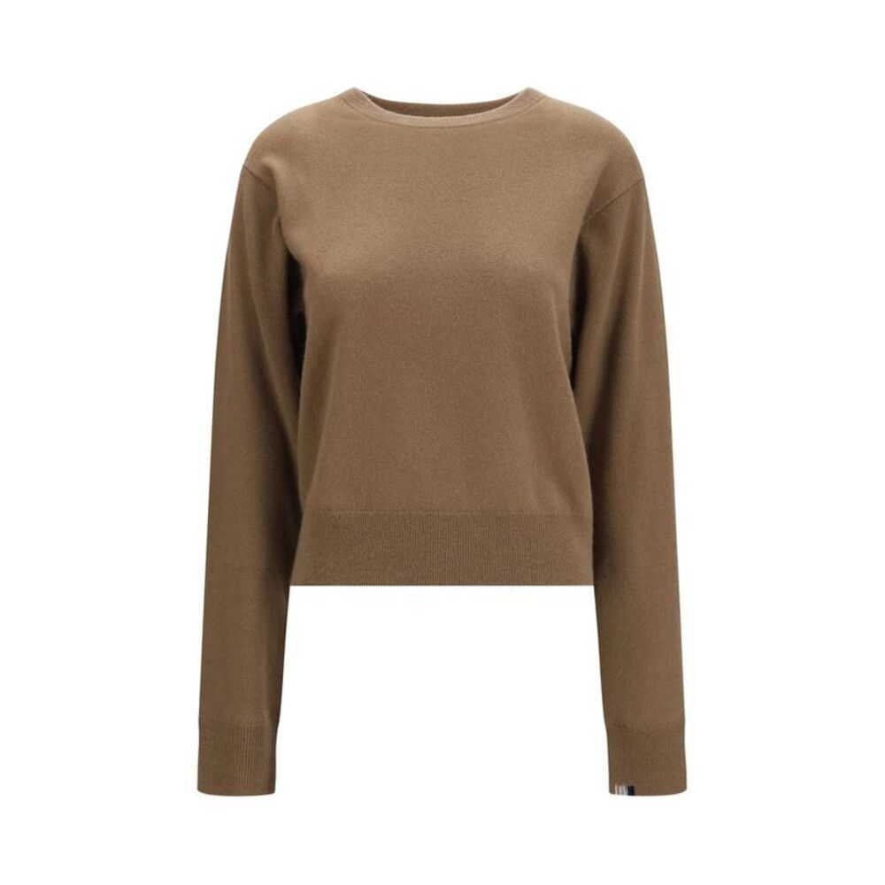 Extreme Cashmere Brown Cashmere Women's Sweater